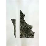 Ulrike Hagenkort, U-3, Werkgruppe Perigäum, Radierung